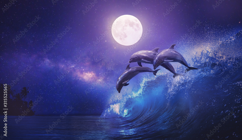 夜晚的海洋，三只顽皮的海豚在冲浪波上从海里跳出来，满月在tr上闪耀