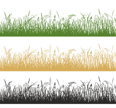 Grass and meadow plants silhouette illustrations set