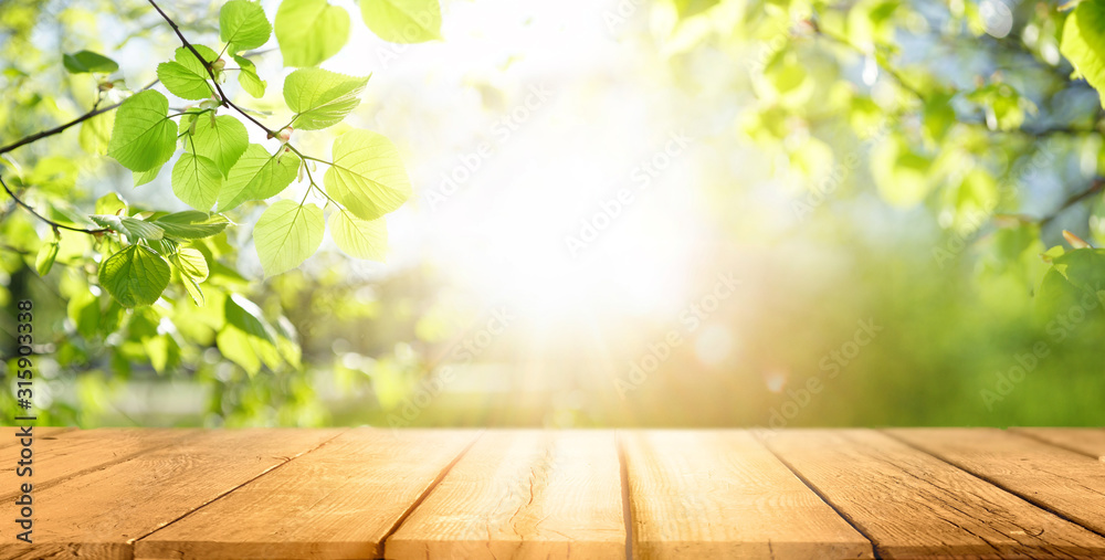 春天的美丽背景，绿色多汁的年轻树叶和户外大自然中的空木桌。