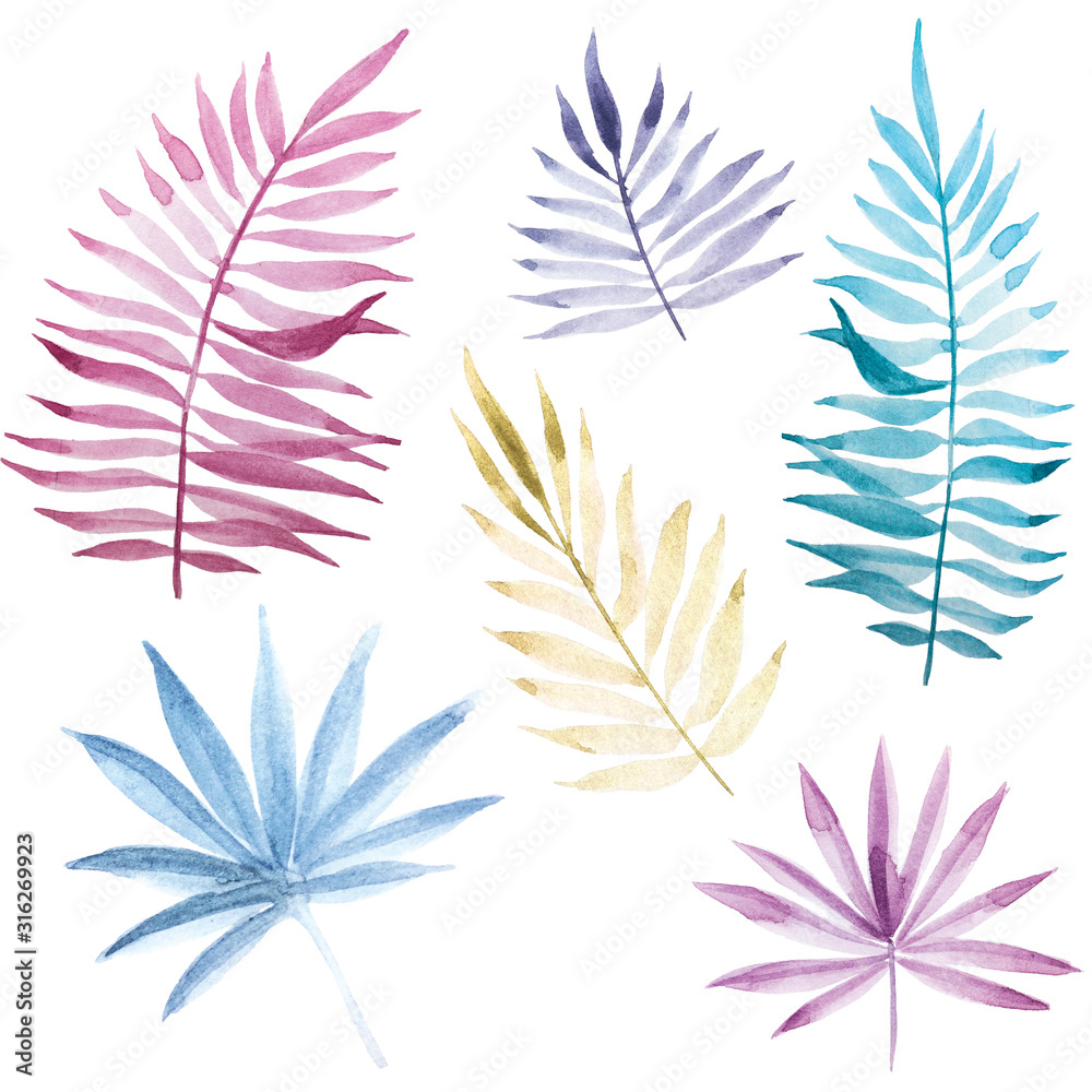 热带树叶的库存插图水彩画套装。鲜艳的pin植物叶子