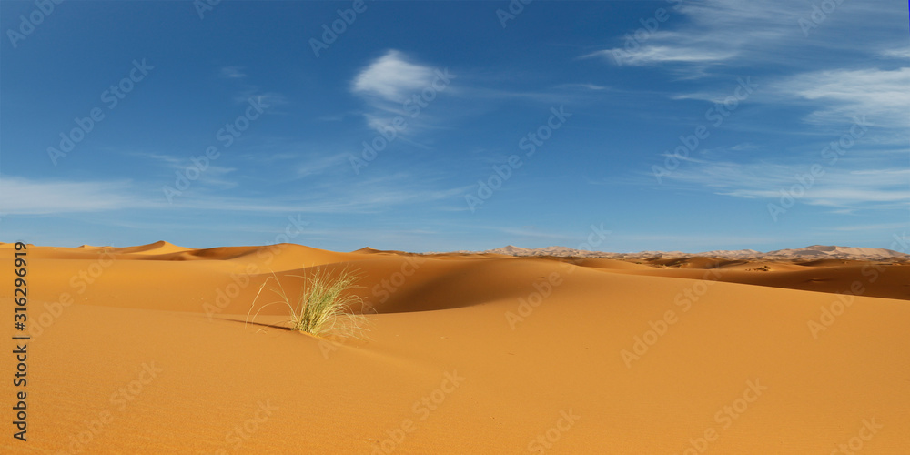 撒哈拉沙漠中的沙丘
