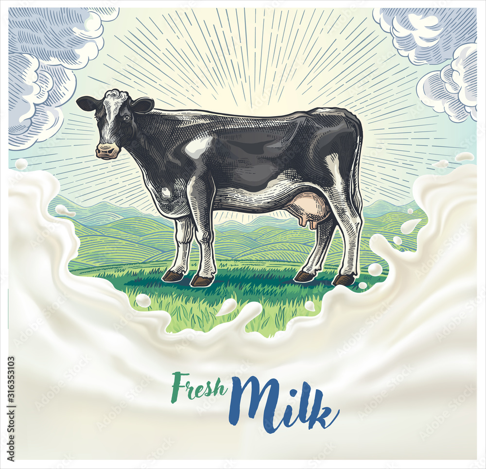 奶牛，以图形风格绘制，背景是早晨的山丘乡村景观，w