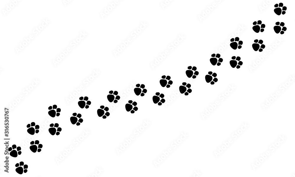 白色背景上隔离的狗或猫爪轨迹。矢量图