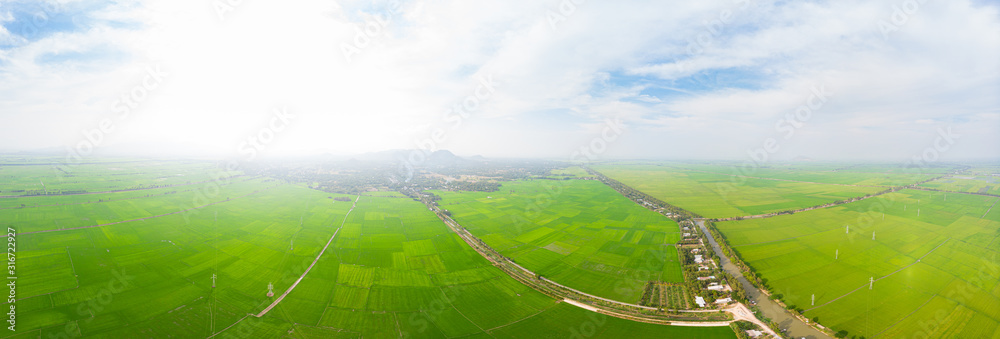南越湄公河三角洲地区稻田鸟瞰图。绿色稻田