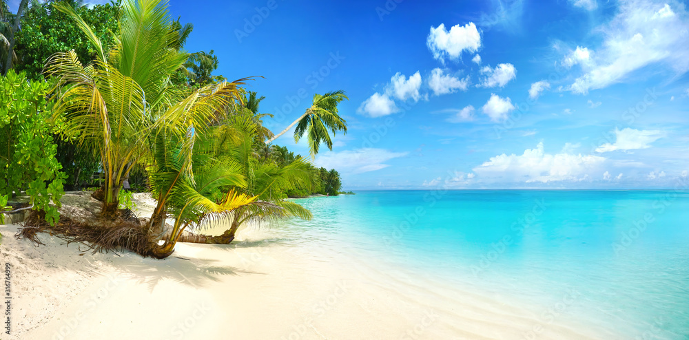 美丽的海滩，白沙，碧绿的海洋，蓝天，云朵和水面上的棕榈树