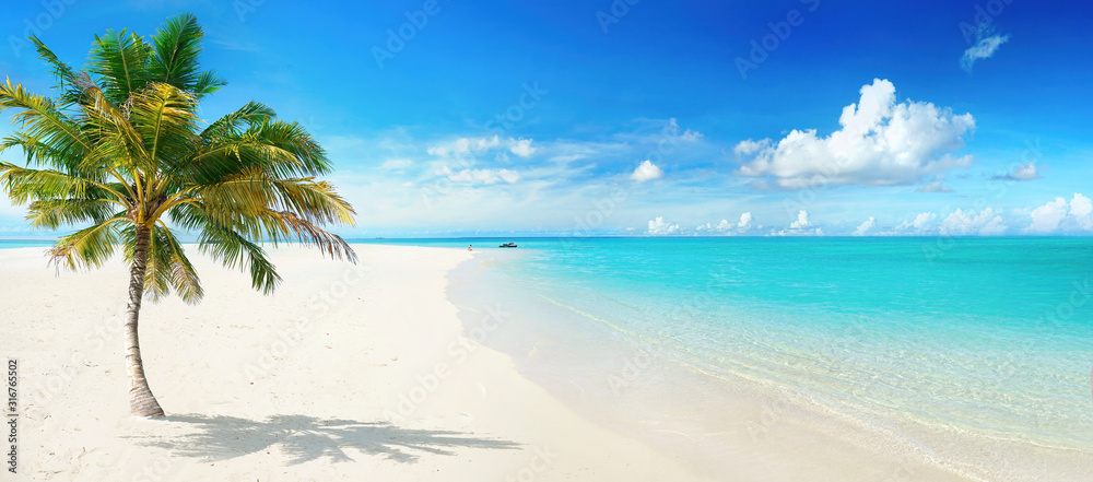 Beautiful palm tree on tropical island beach on background  blue sky with white clouds and turquoise
