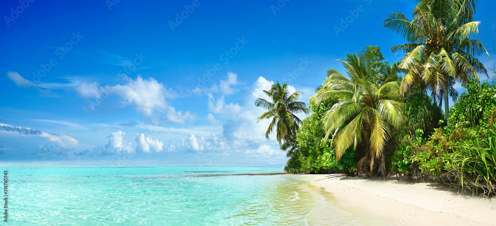 美丽的热带海滩，白沙、棕榈树、绿松石般的海洋，蓝天白云