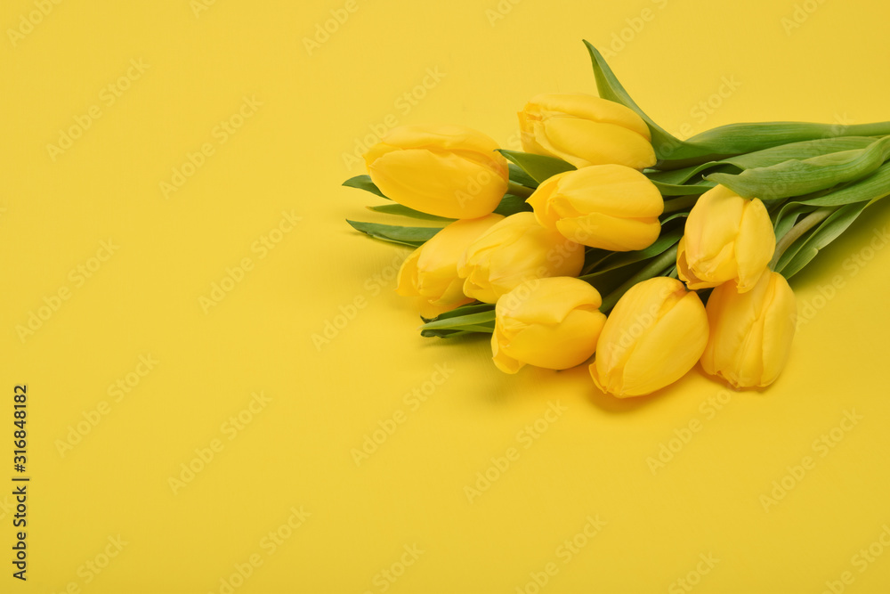 一束黄色背景的郁金香花