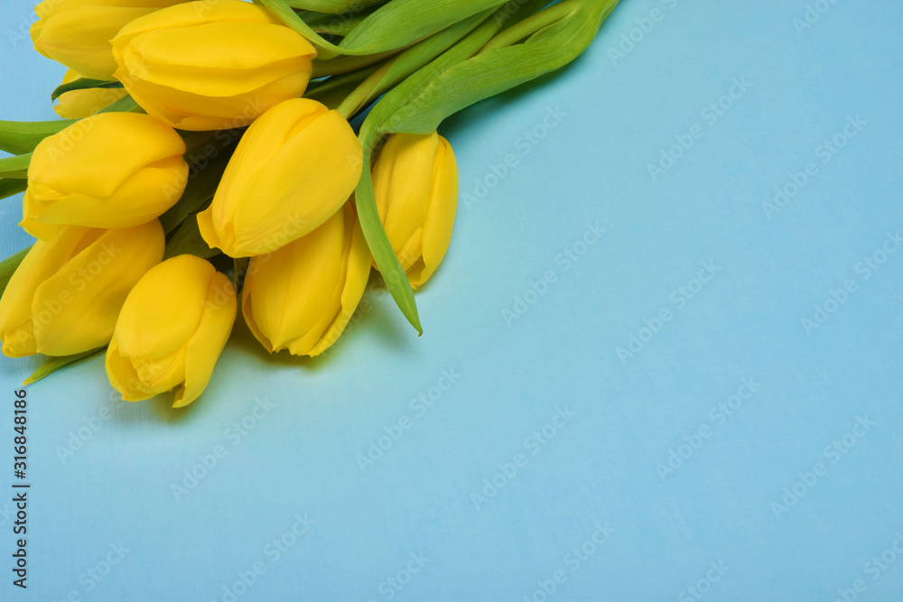 蓝色背景下的黄色郁金香花束