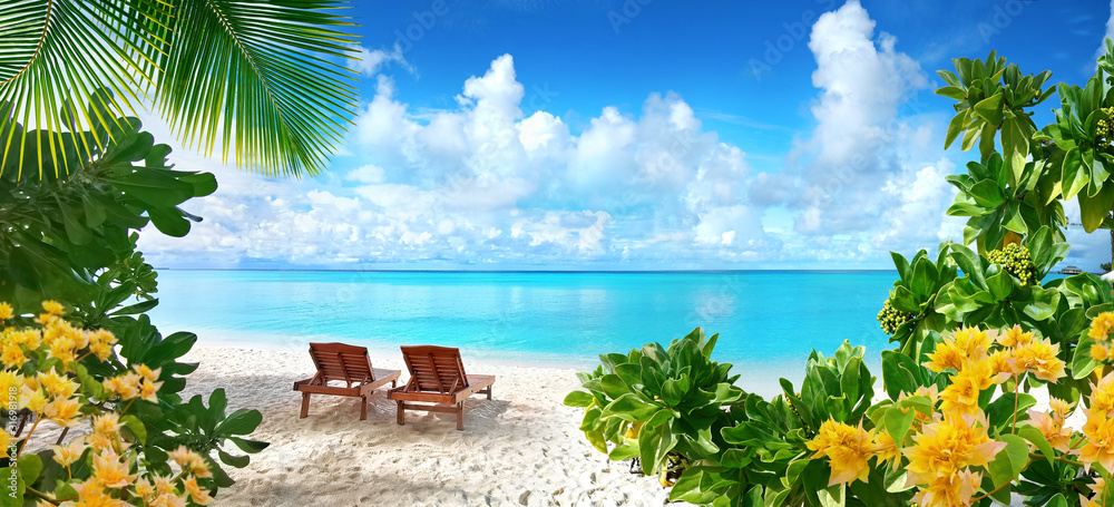 美丽的热带海滩，有白沙和两个躺椅，背景是绿松石海洋和b