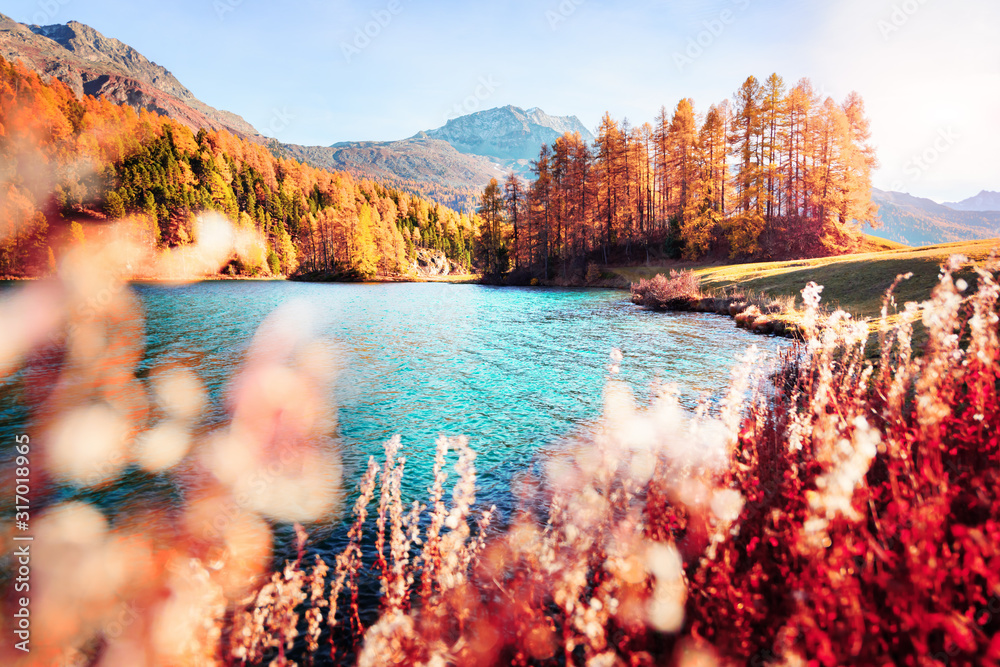 瑞士阿尔卑斯山西尔瓦普兰纳湖风景如画。风景摄影