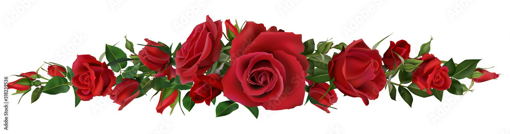 逼真的红玫瑰边界。花朵元素，美丽的叶子和紫红色的花朵组成