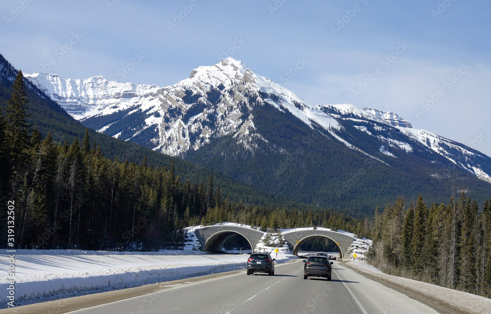 POV：驶向风景如画的跨加拿大高速公路上的一条短隧道。