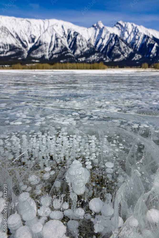 垂直：在阳光明媚的日子里，甲烷气泡上升到亚伯拉罕湖的结冰表面。