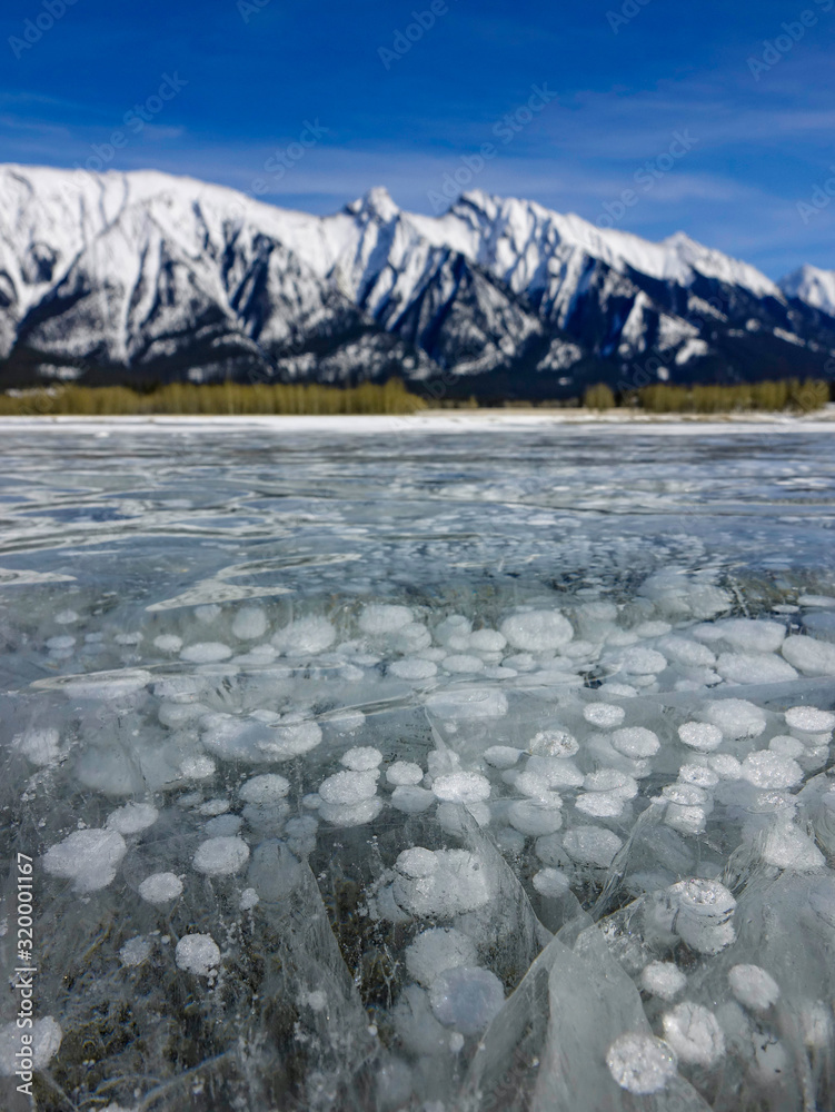 垂直：亚伯拉罕湖结冰的表面将巨大的甲烷气泡困在冷水中。