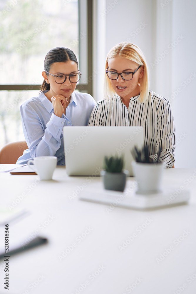 两位年轻的女商人在工作中一起使用笔记本电脑