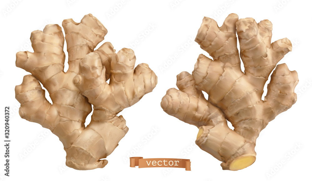 Ginger root. 3d realistic vector objects