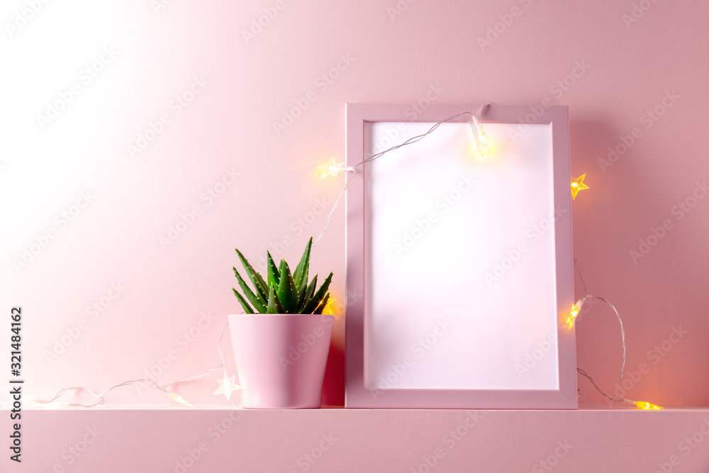 Pink Frame With Succulent Plants