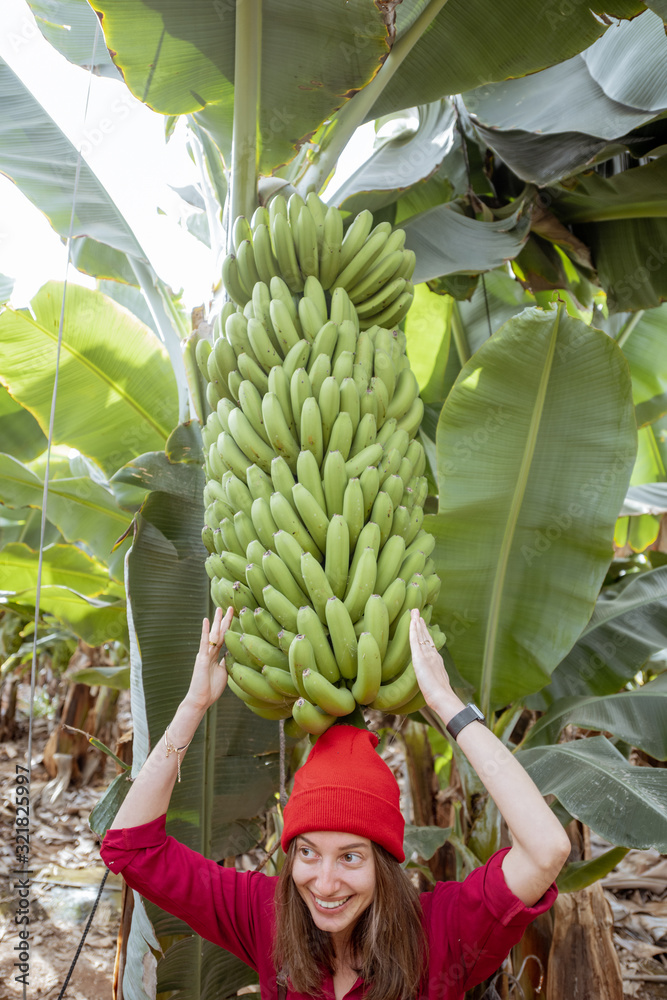 可爱的女人头顶着一根大香蕉枝，参观香蕉种植园。健康概念
