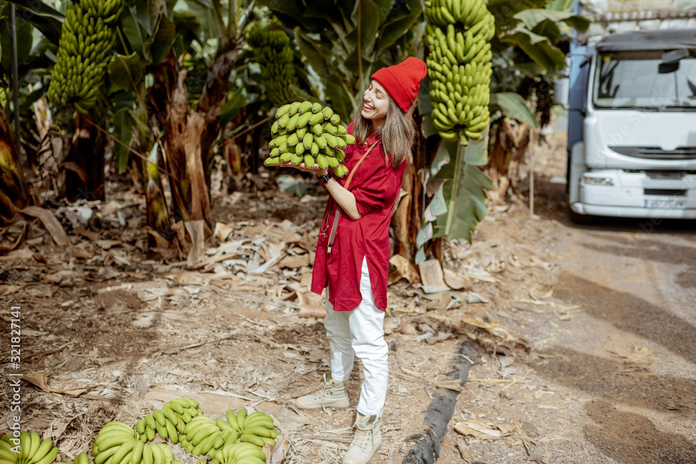 一位年轻女性的肖像，她是一名游客或工人，在种植园里搬运香蕉茎。