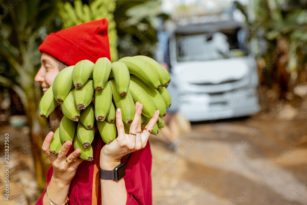 一名妇女带着新鲜采摘的绿香蕉茎在种植园里收割。