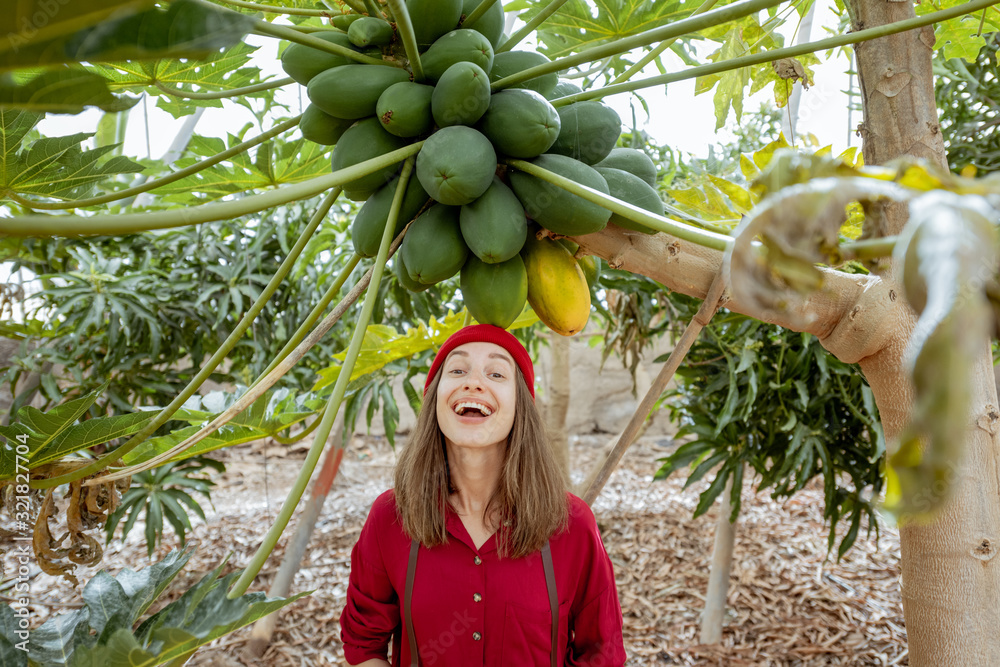 Portrait of a cheerful young woman standing under papaya tree with a large bunch of papayas fruits