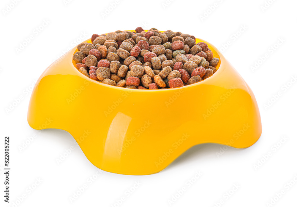 Bowl with dry pet food on white background