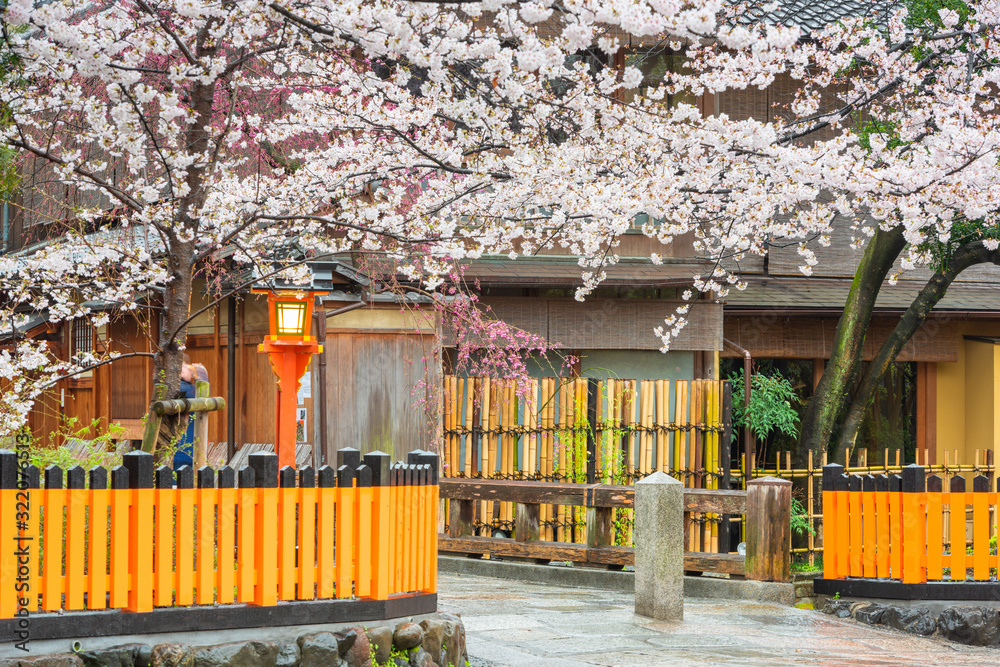 Gion Shirakawa, Kyoto, Japan in Spring