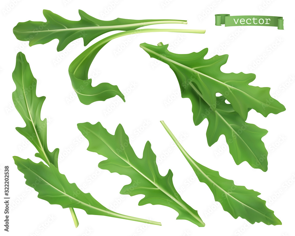 Arugula, garden rocket salad vegetable. 3d realistic food illustration. Vector objects