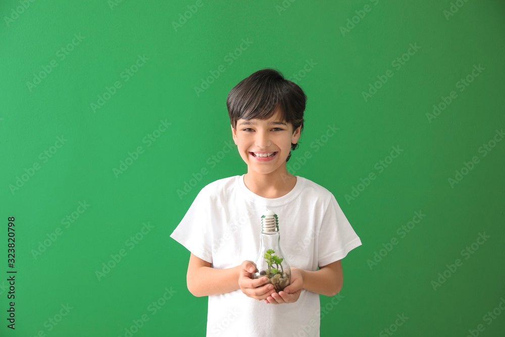 小男孩拿着彩色背景的植物灯泡。地球日庆祝活动