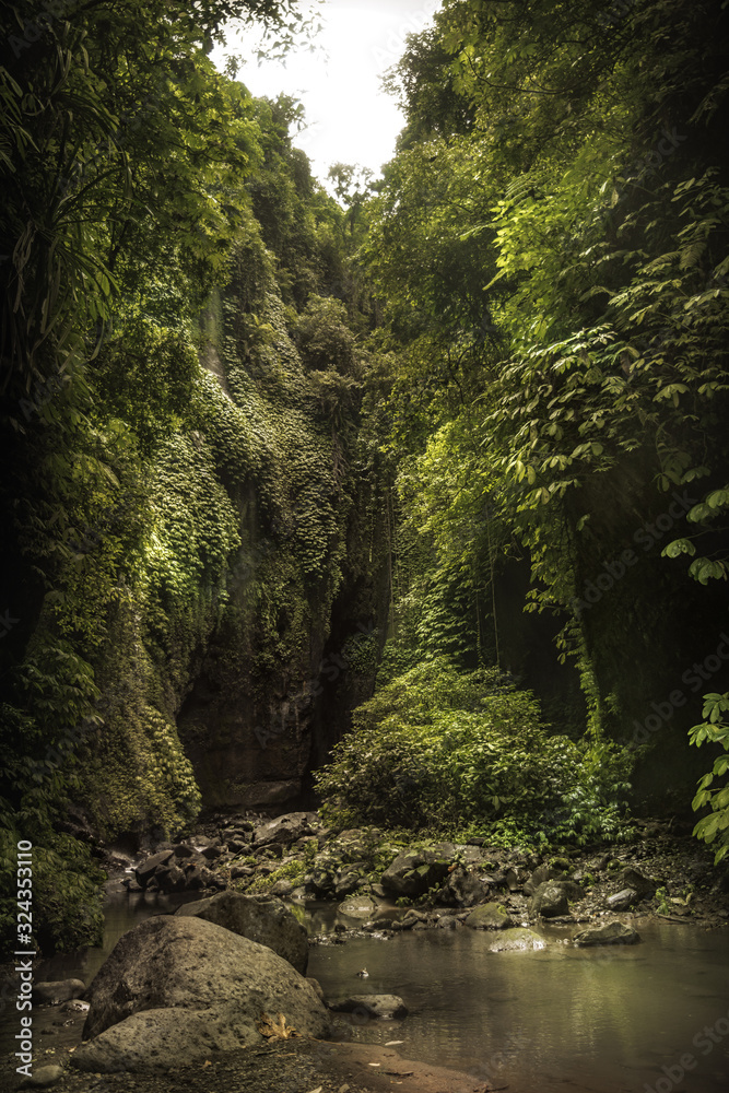 美丽的巴厘岛瀑布Sekumpul附近的峡谷，岩石拱顶覆盖着郁郁葱葱的观叶植物