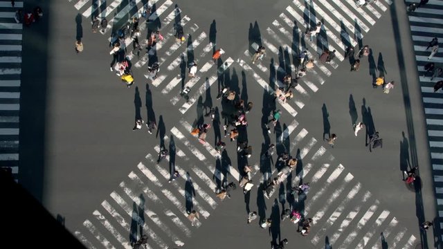 4K, Elevated view over a crowd pedestrian crossing in road intersection with light of a sunset. Aerial view of asian people in busy scramble crosswalk.-Dan