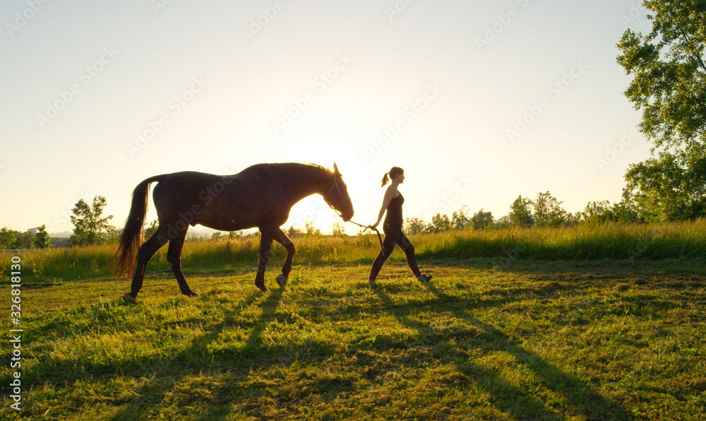 特写：日落时，一名年轻女子带着她的种马在草地上行走