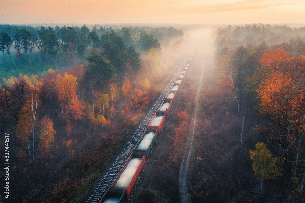 秋天日出，雾中美丽森林中的货运列车鸟瞰图。色彩缤纷的风景机智