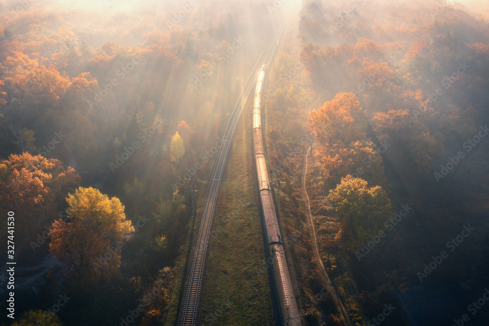 秋天日出时，雾中美丽森林中的火车鸟瞰图。法尔正在行驶的客运列车