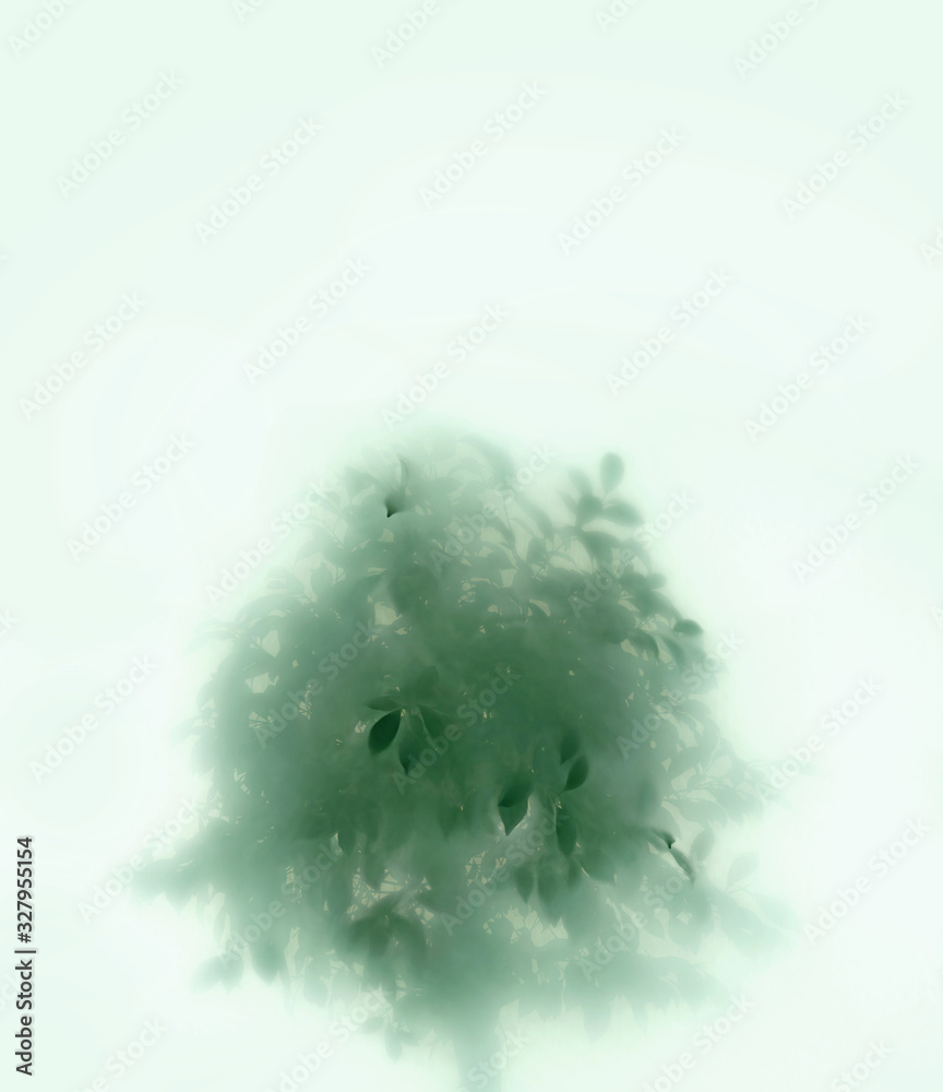 雾中之树