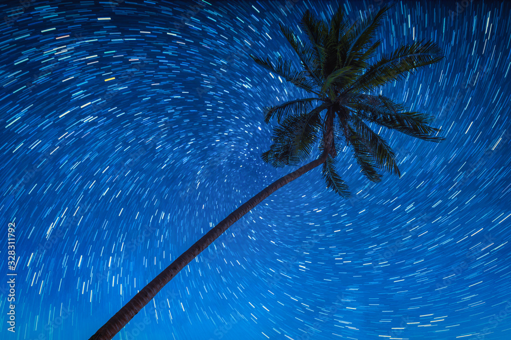 夜空中有星轨的椰子树。