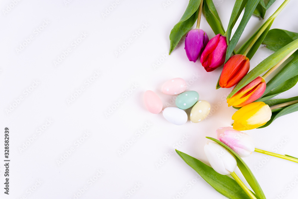 五颜六色的郁金香在白色背景上圆形产卵，带有复制空间