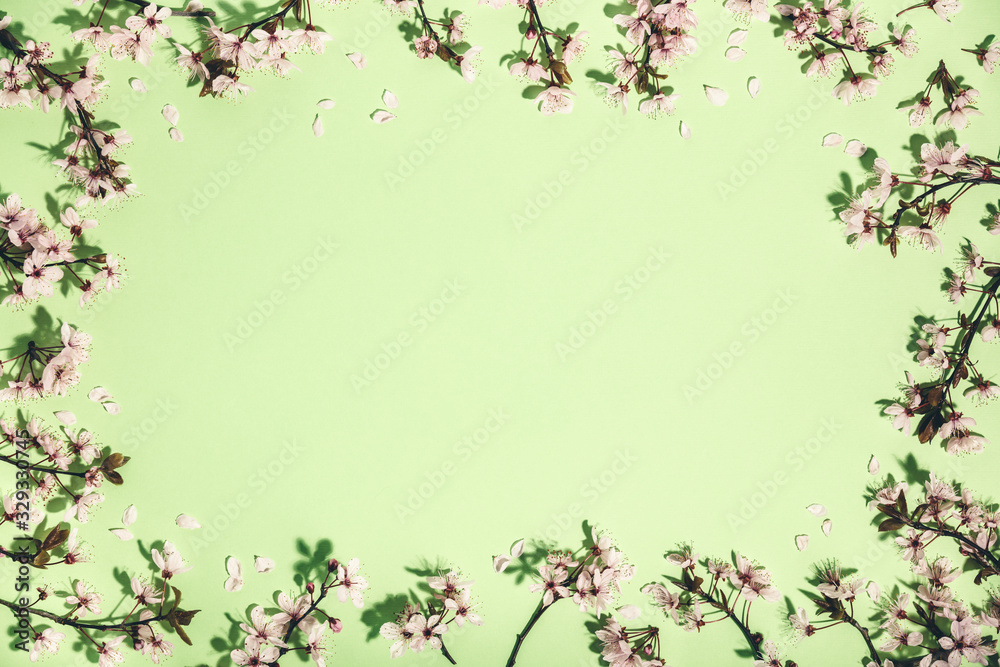 春天的边界，绿色柔和的背景上有樱花