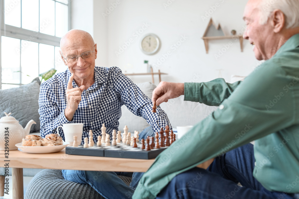 老人在家下棋