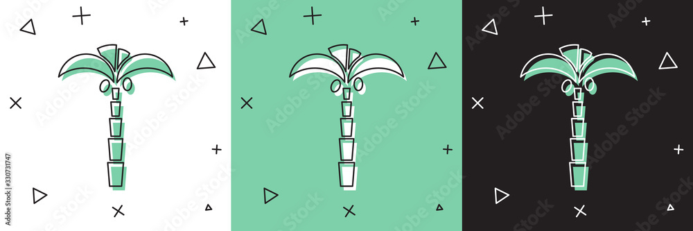 Set Tropical palm tree icon isolated on white and green, black background. Coconut palm tree. Vector