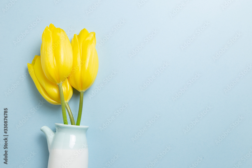 蓝色背景花瓶里的春黄色郁金香花。花卉构图，平面布置，俯视图，复制