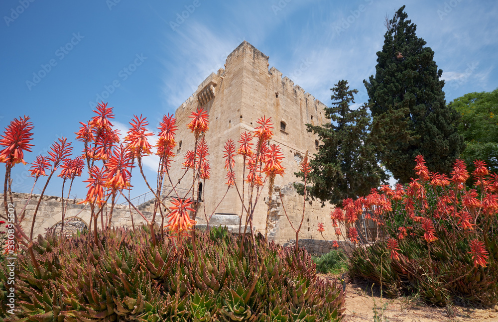 Kolossi Castle with the blooming aloe in front of it. Kolossi. Limassol District. Cyprus