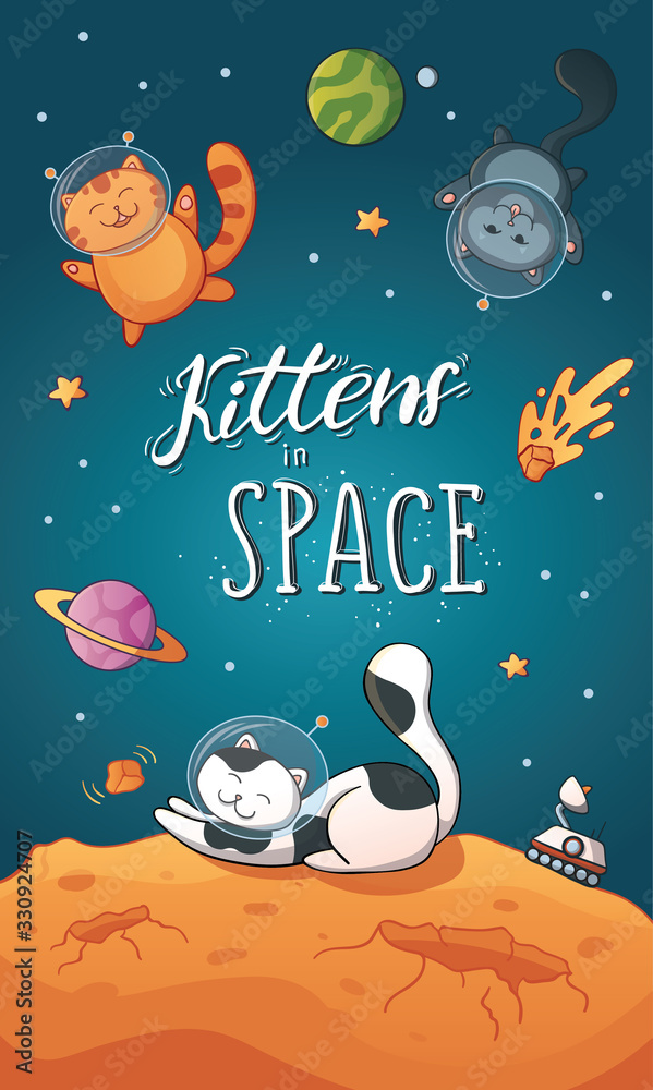 太空中的明信片小猫