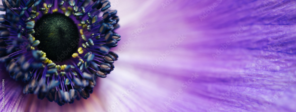美丽的紫色花朵的特写复古图像。花卉装饰。花卉禁欲背景。N