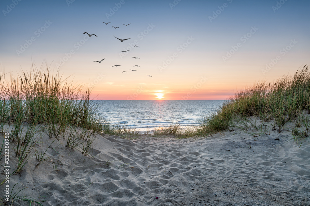 日落时海滩上的沙丘