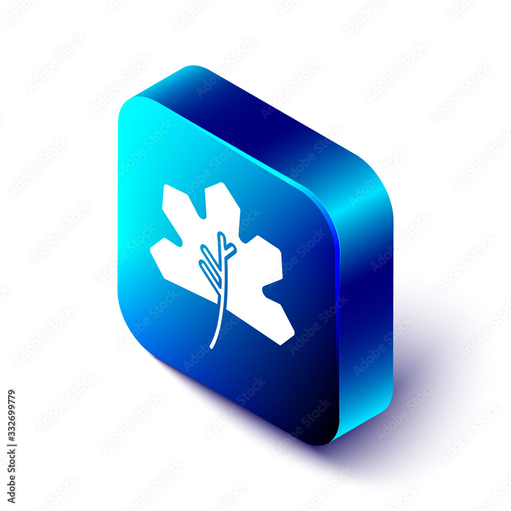 Isometric Leaf icon isolated on white background. Leaves sign. Fresh natural product symbol. Blue sq