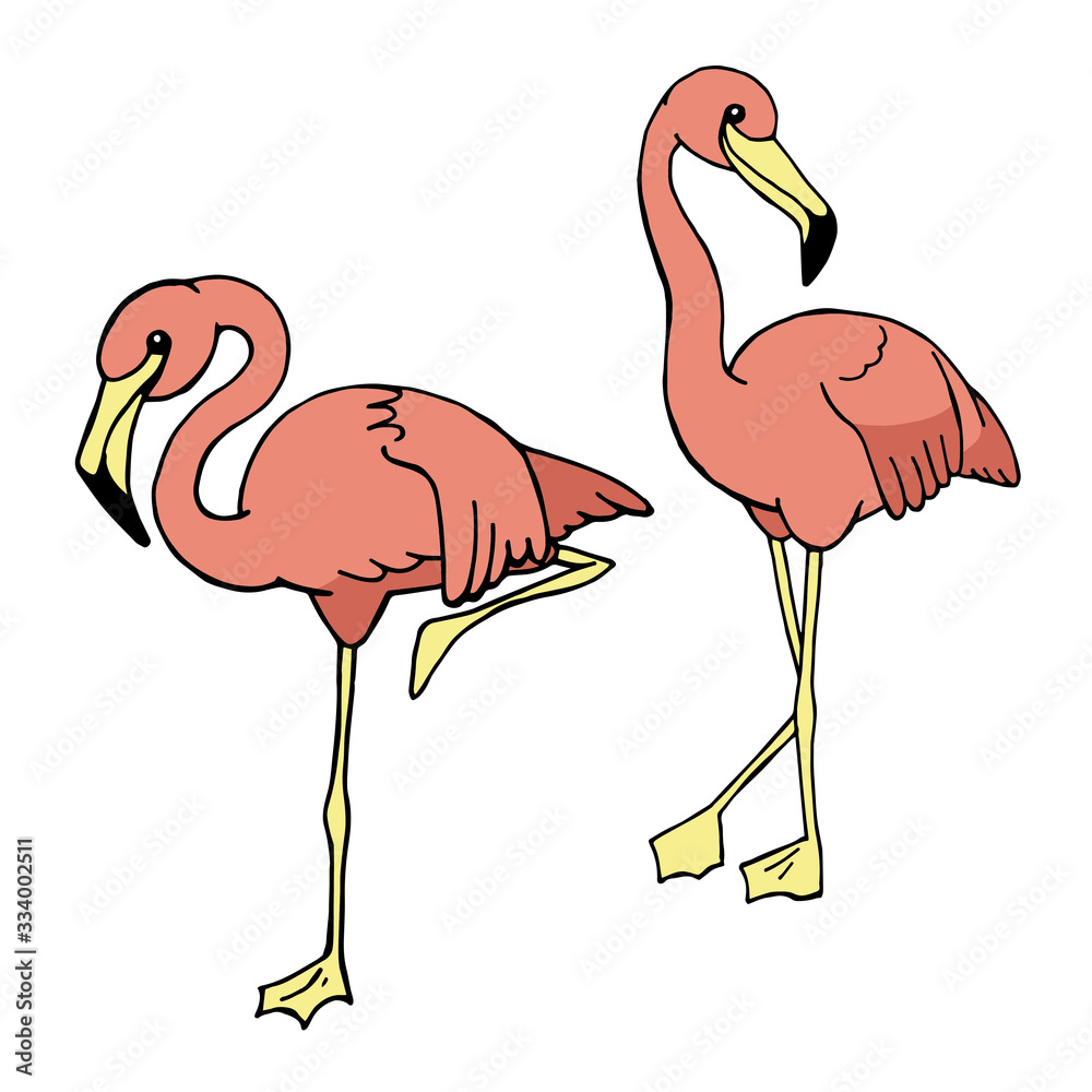 矢量插图，彩色素描。热带鸟类套装。粉色火烈鸟系列。简单手绘