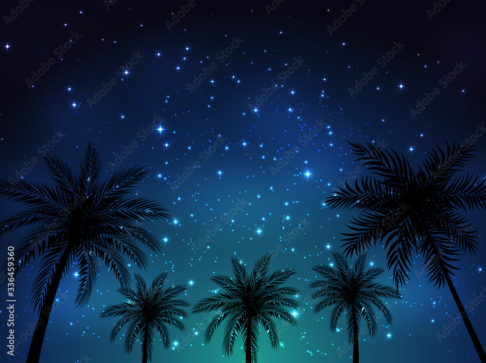 棕榈叶的夜空背景。矢量插图