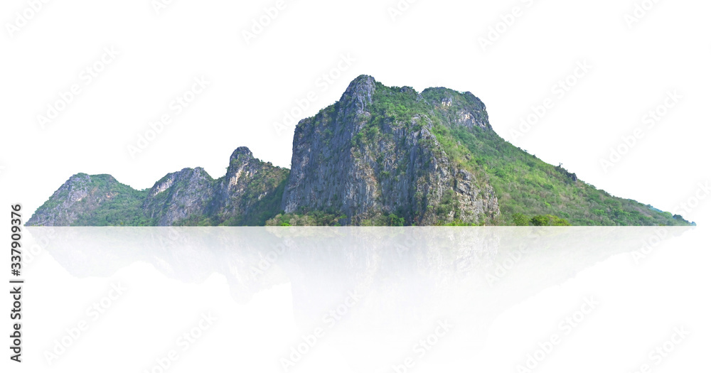 big mountain with tree isolate on white background